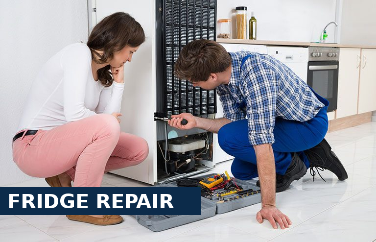 Fridge Repair Petts Wood
